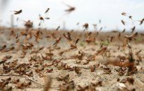 110714191435-large